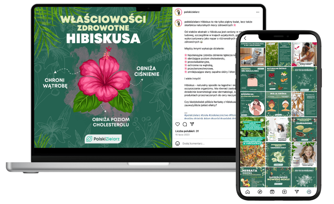 Case study: Polski Zielarz