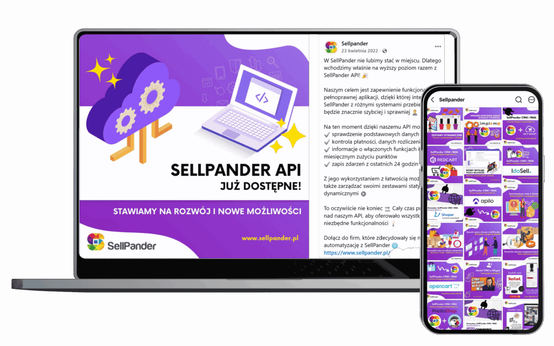 Case Study: Sellpander